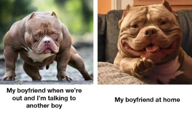 Funny Memes (19 pics)