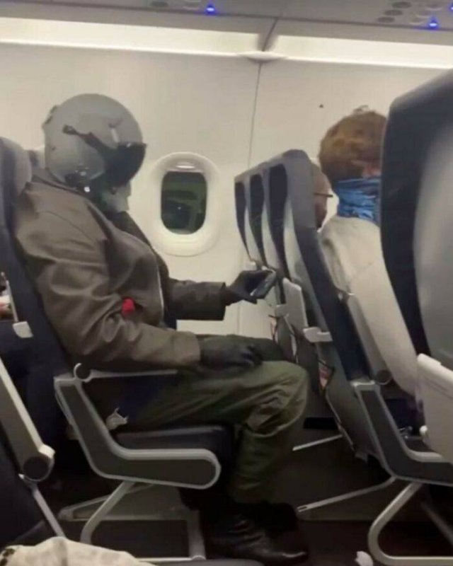 Annoying Passengers (29 pics)