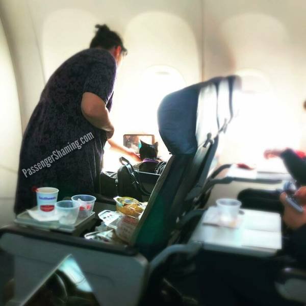 Annoying Passengers (29 pics)