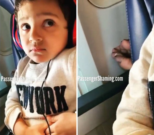 Annoying Passengers (29 pics)