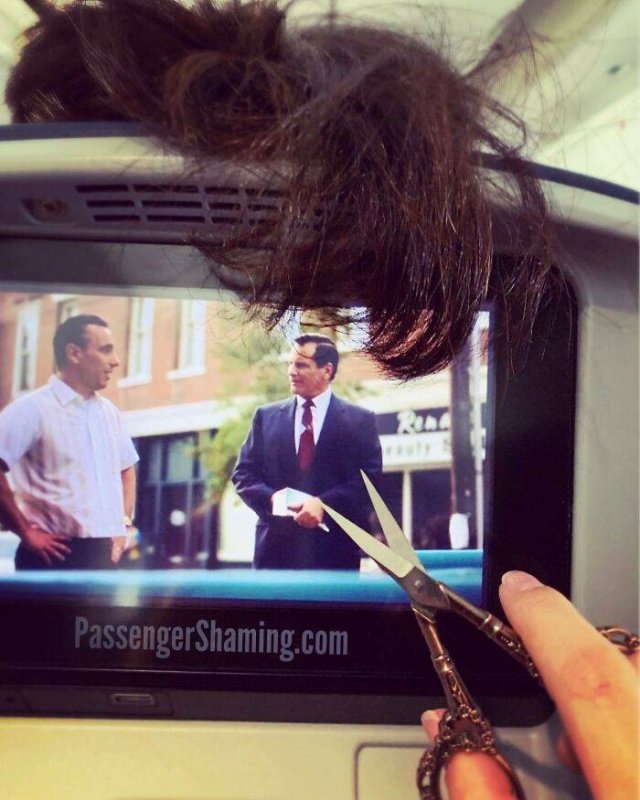 Annoying Passengers (29 pics)