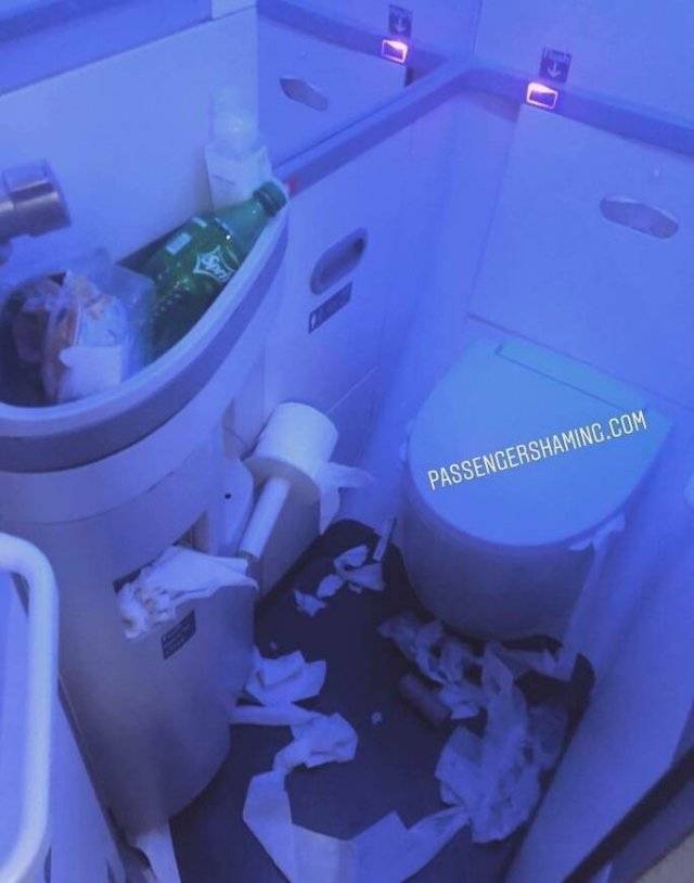 Annoying Passengers (29 pics)