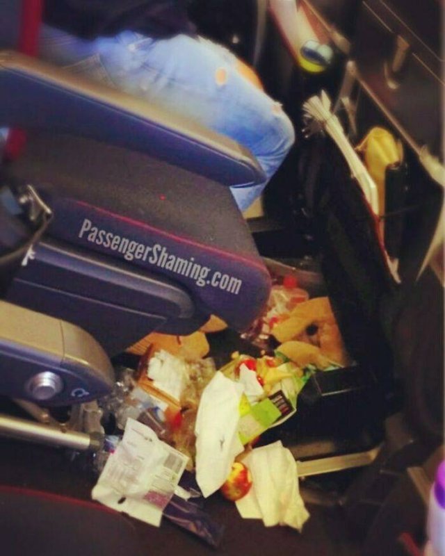 Annoying Passengers (29 pics)