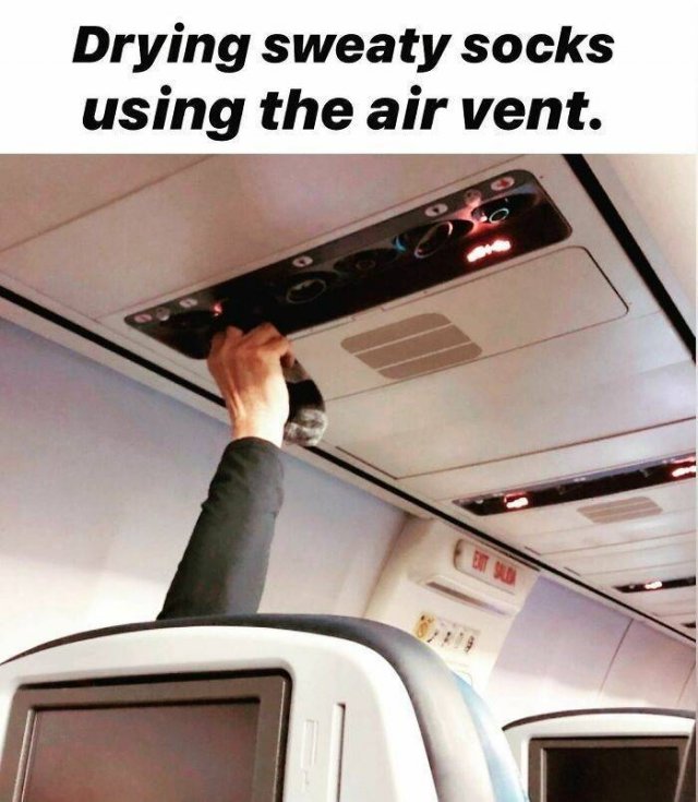 Annoying Passengers (29 pics)