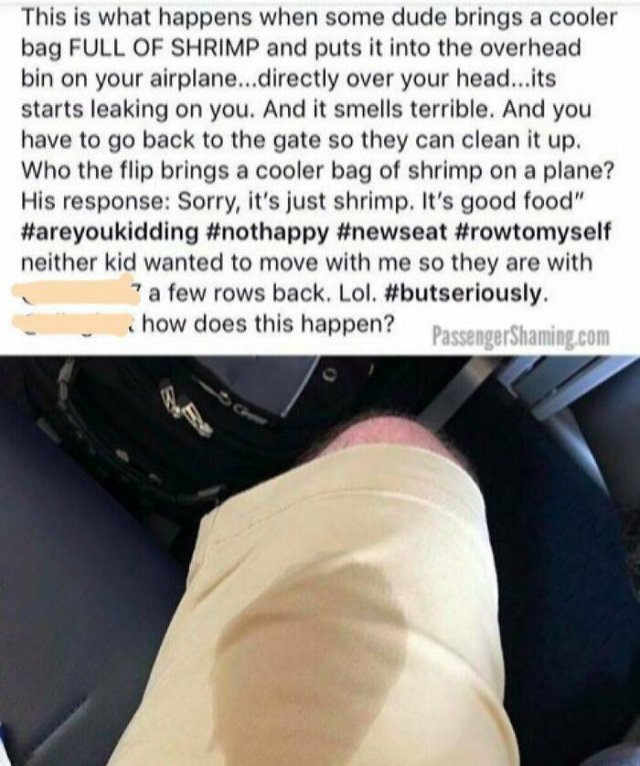 Annoying Passengers (29 pics)