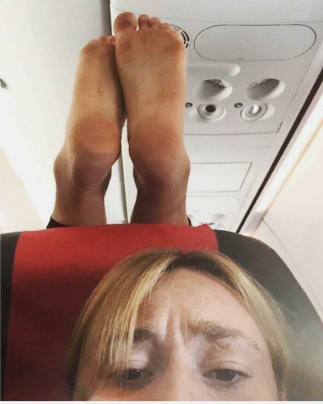 Annoying Passengers (29 pics)