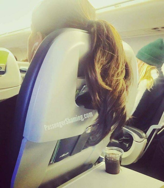 Annoying Passengers (29 pics)