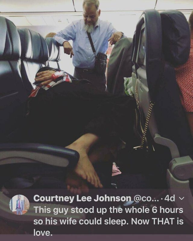Annoying Passengers (29 pics)