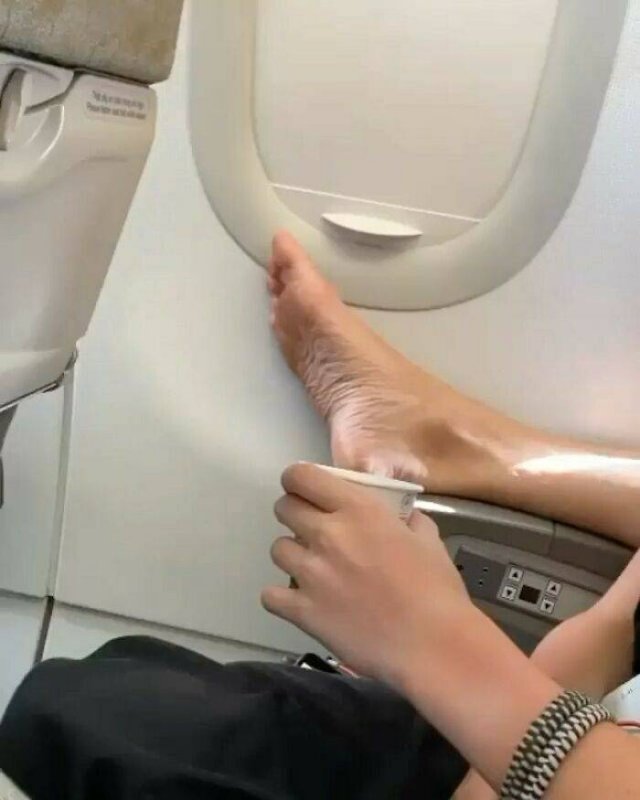 Annoying Passengers (29 pics)