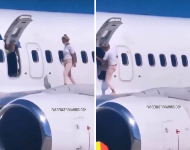 Annoying Passengers (29 pics)