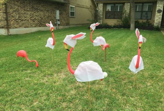 Stories About Hilarious Neighbors (25 pics)