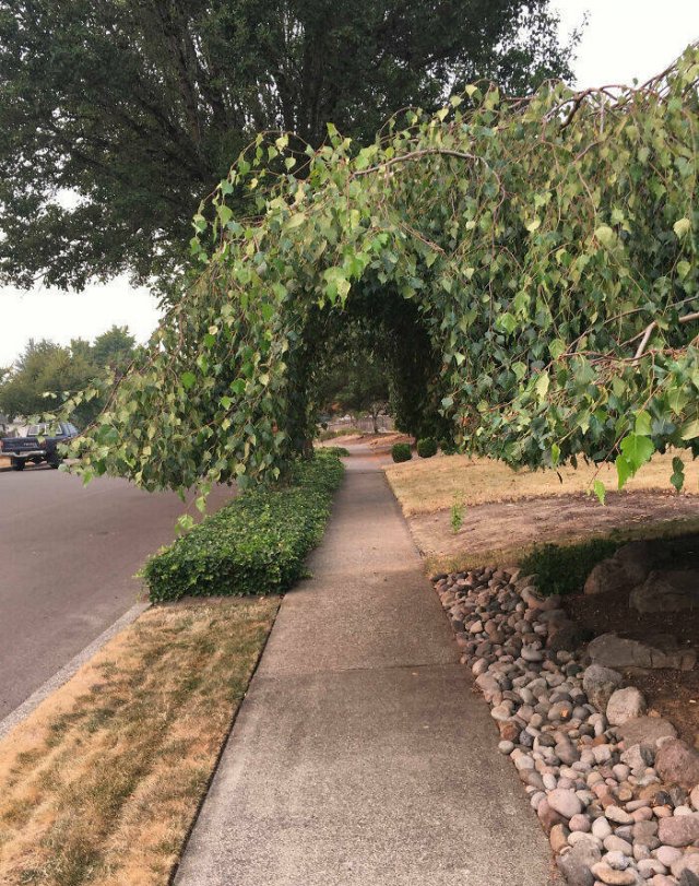 Stories About Hilarious Neighbors (25 pics)