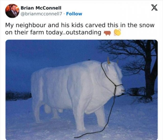 Stories About Hilarious Neighbors (25 pics)