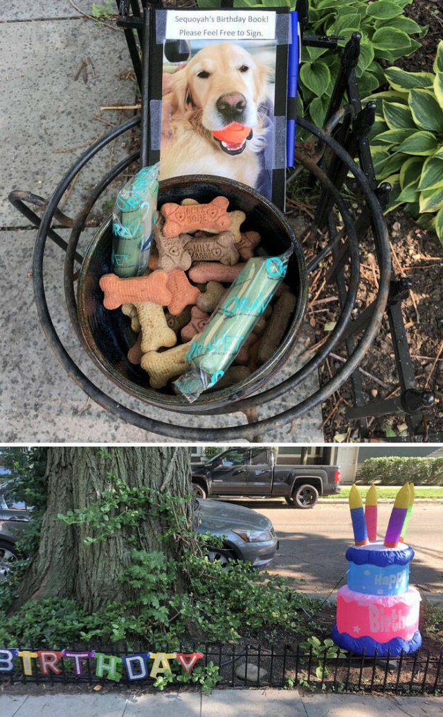 Stories About Hilarious Neighbors (25 pics)
