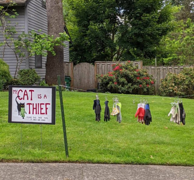 Stories About Hilarious Neighbors (25 pics)