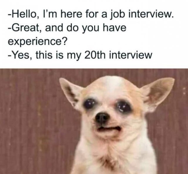 Random Jokes (28 pics)