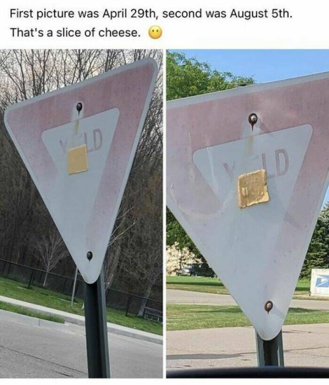 Funny Signs (23 pics)