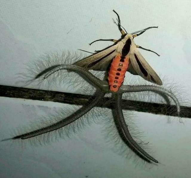 Bad Days Happen (24 pics)