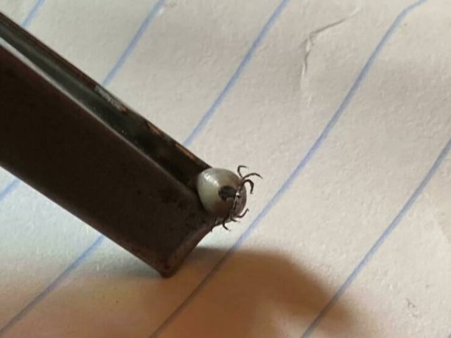 Bad Days Happen (24 pics)