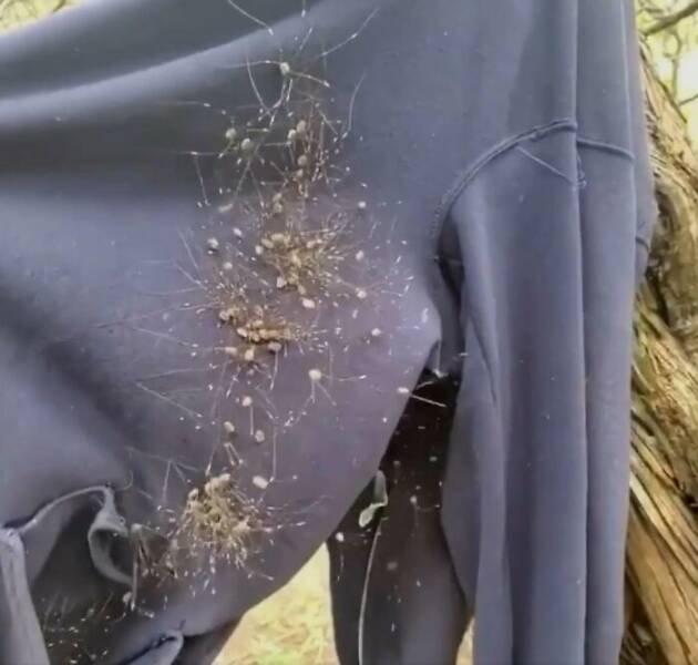 Bad Days Happen (24 pics)