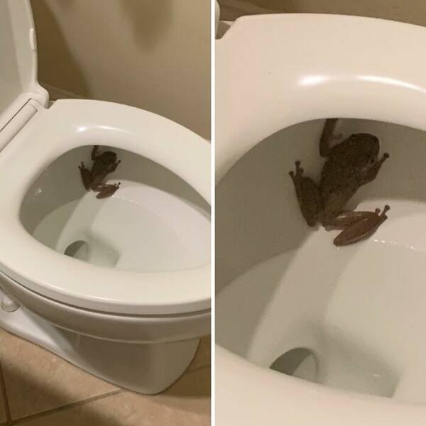 Bad Days Happen (24 pics)