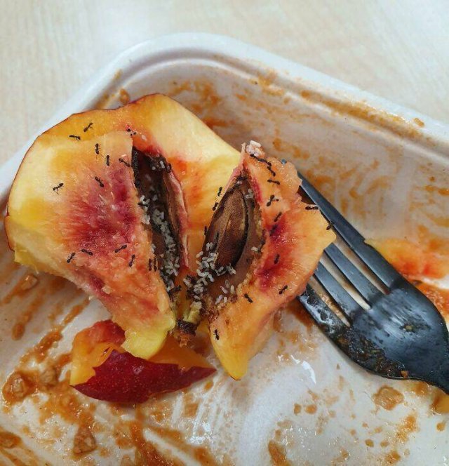 Bad Days Happen (24 pics)