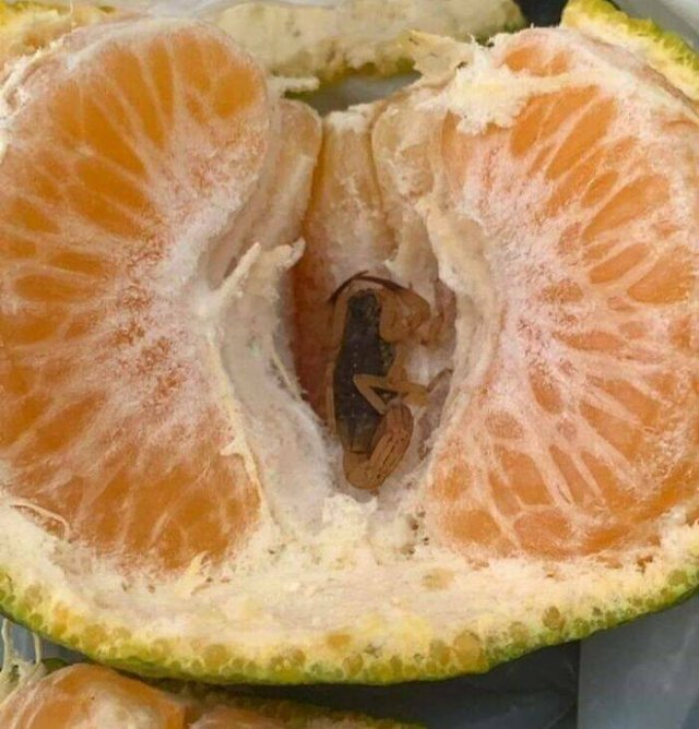 Bad Days Happen (24 pics)