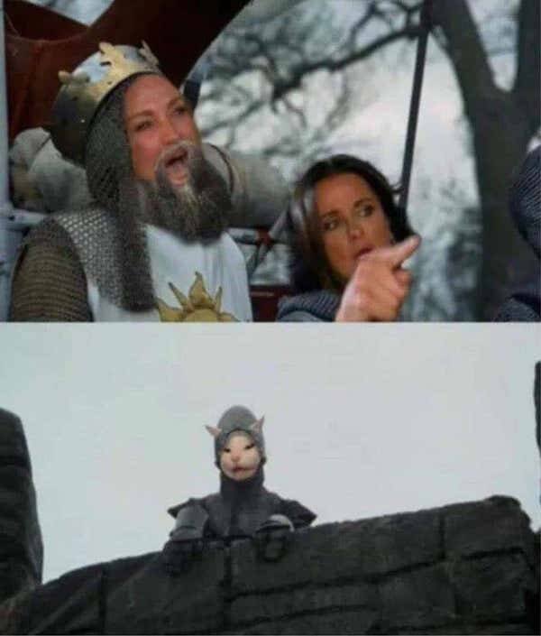 Hilarious ''Monty Python And The Holy Grail'' Memes (25 pics)