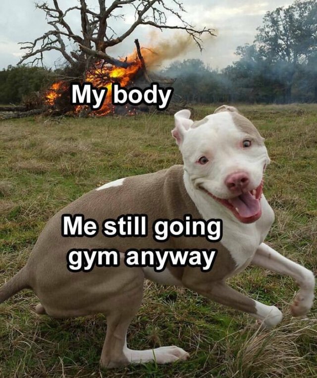 Jokes About The Gym (21 pics)