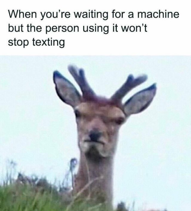 Jokes About The Gym (21 pics)