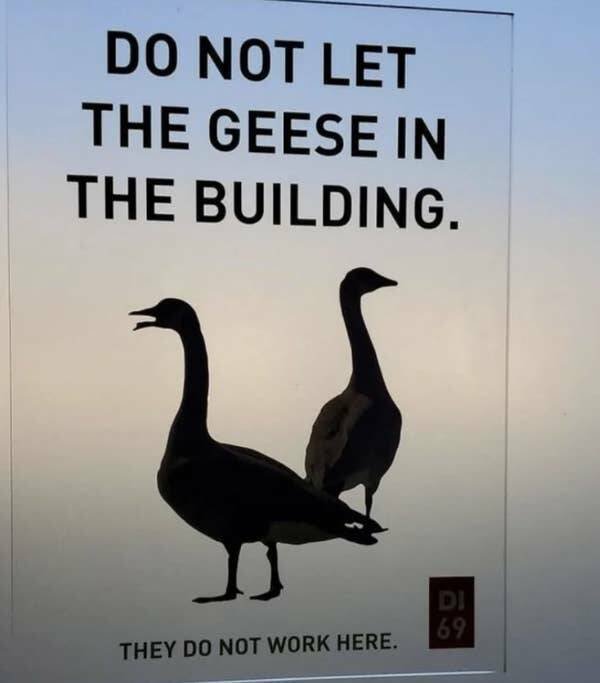 Failed And Funny Signs (17 pics)