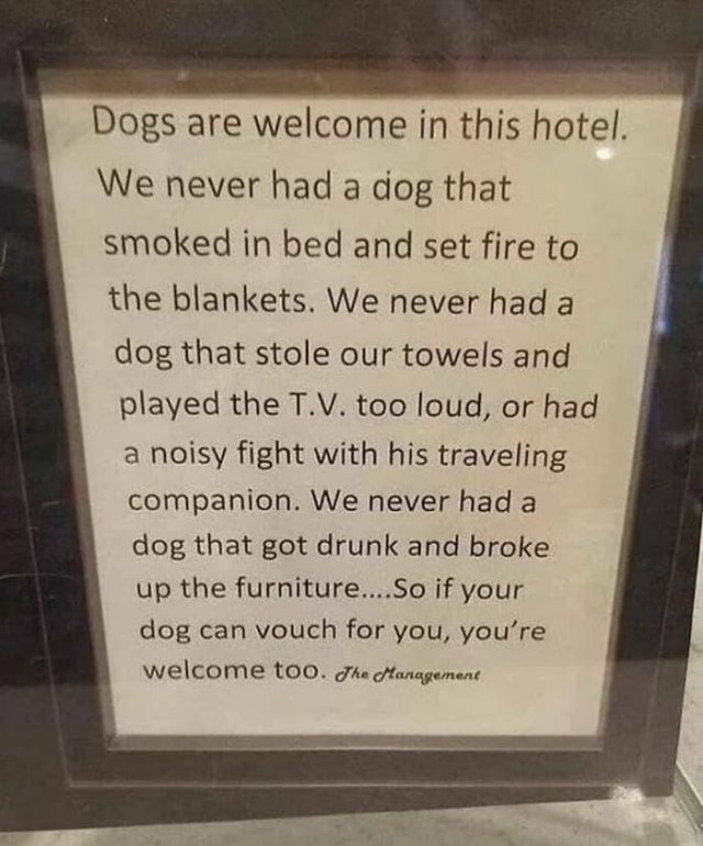 Failed And Funny Signs (17 pics)