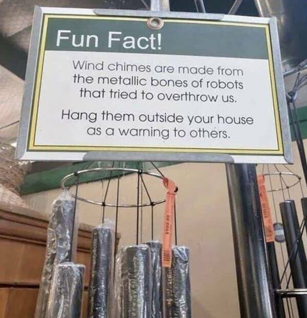 Failed And Funny Signs (17 pics)