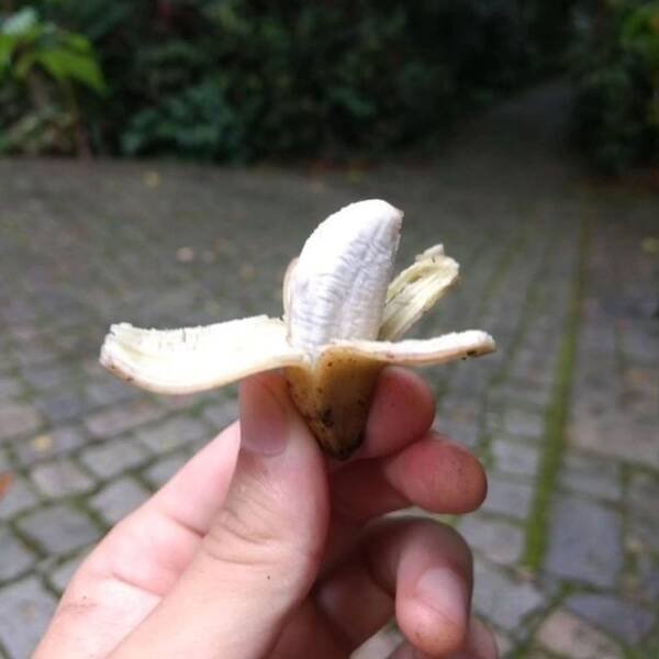 What Is Going On Here? (21 pics)