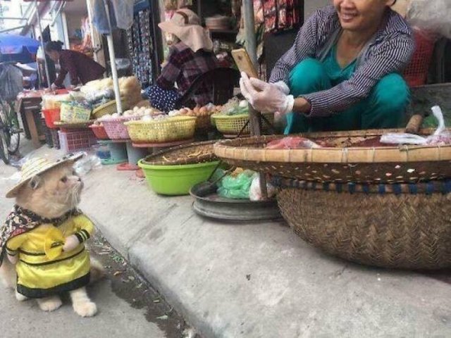 What Is Going On Here? (21 pics)