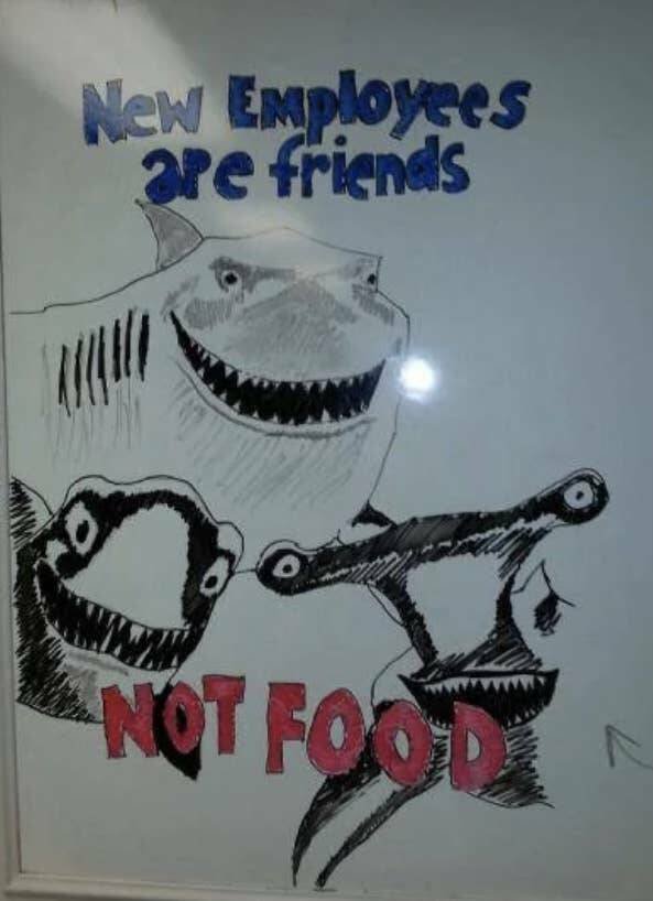 Failed And Funny Signs (17 pics)