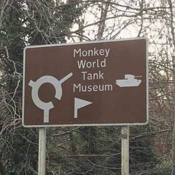 What Is Going On Here? (21 pics)