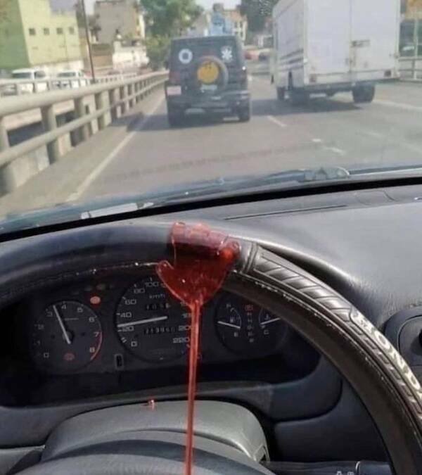 What Is Going On Here? (21 pics)