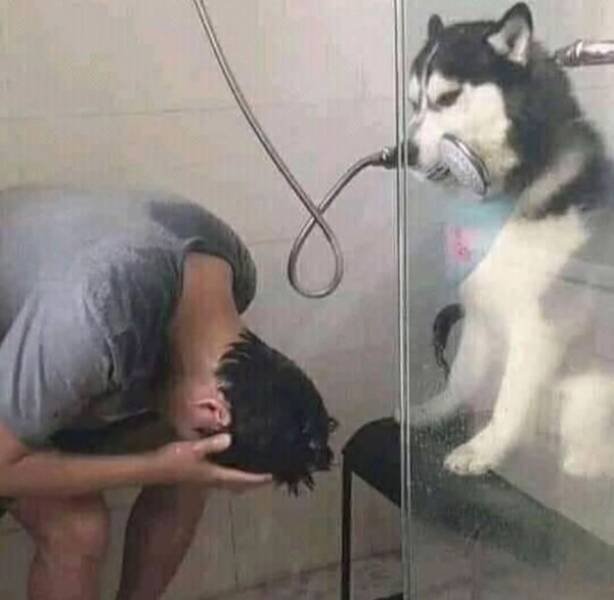 What Is Going On Here? (21 pics)