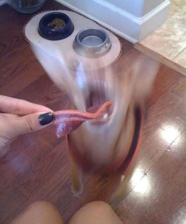 What Is Going On Here? (21 pics)