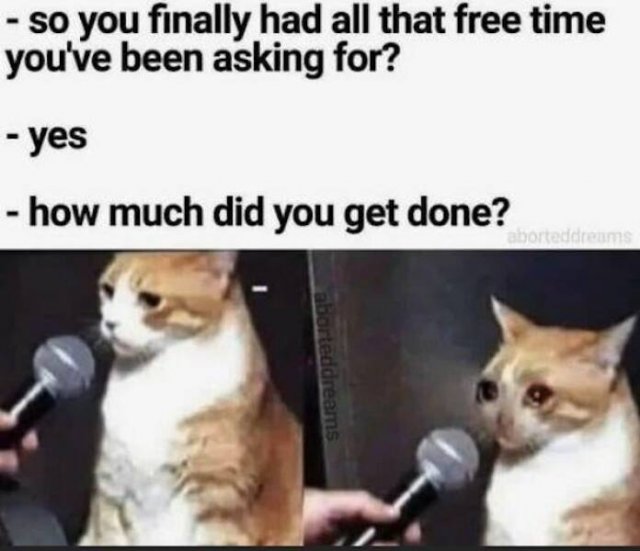 Memes About ADHD (25 pics)