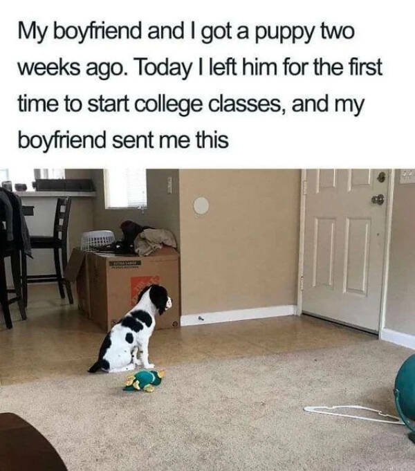 Random Jokes (15 pics)