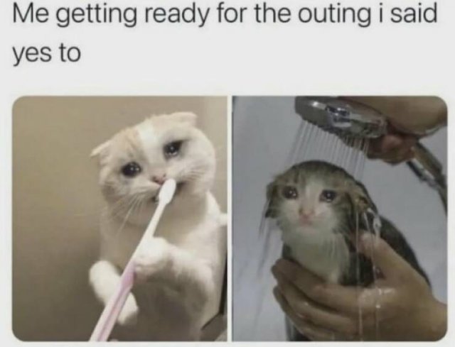 Memes About ADHD (25 pics)