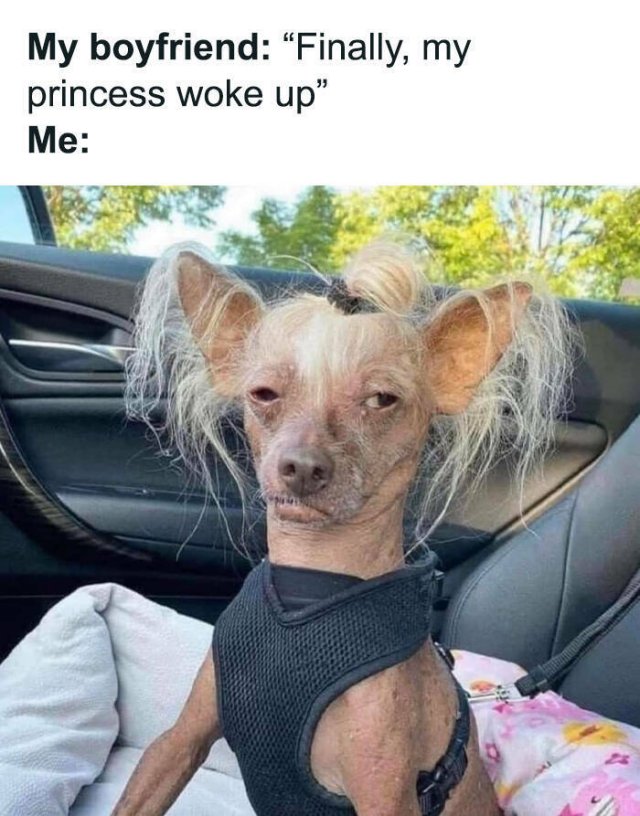 Relationship Memes (24 pics)