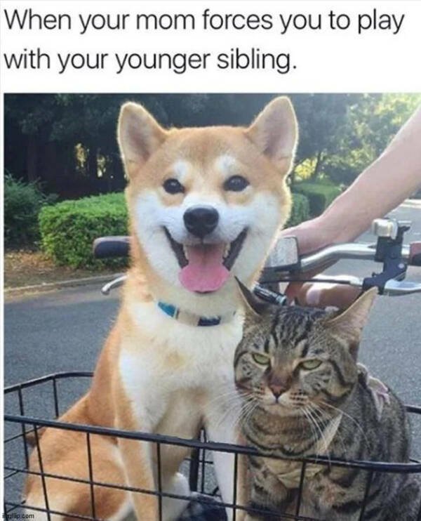 Random Jokes (15 pics)