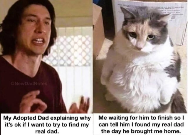Random Jokes (15 pics)