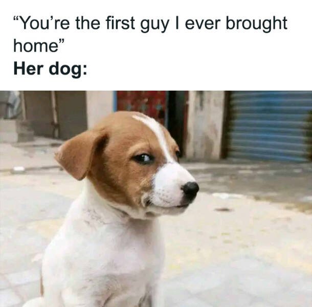Relationship Memes (24 pics)