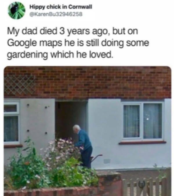 Random Jokes (15 pics)