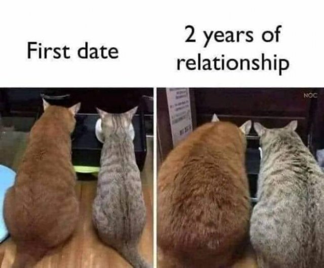 Relationship Memes (24 pics)