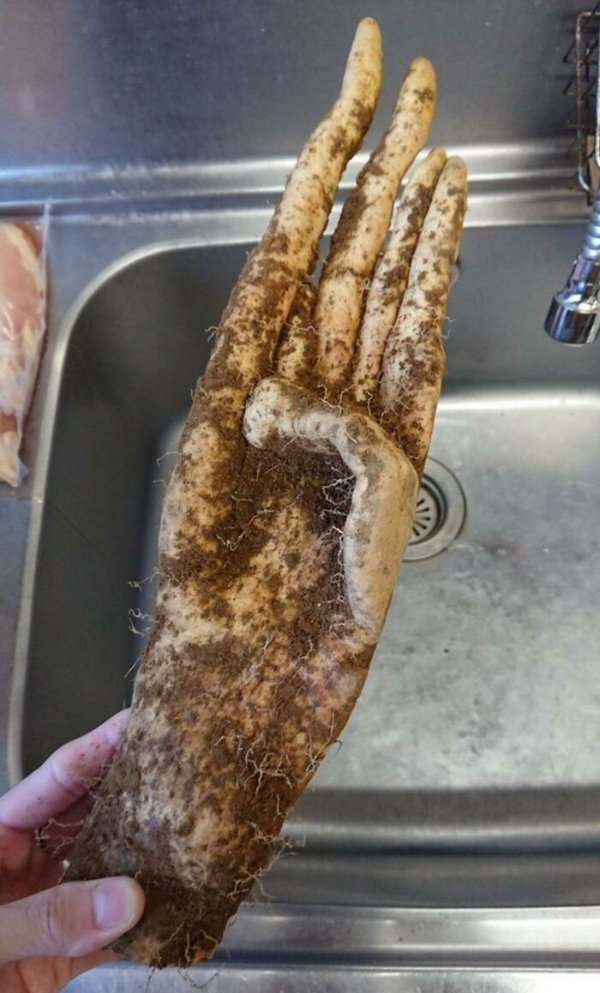 Scary Finds (18 pics)